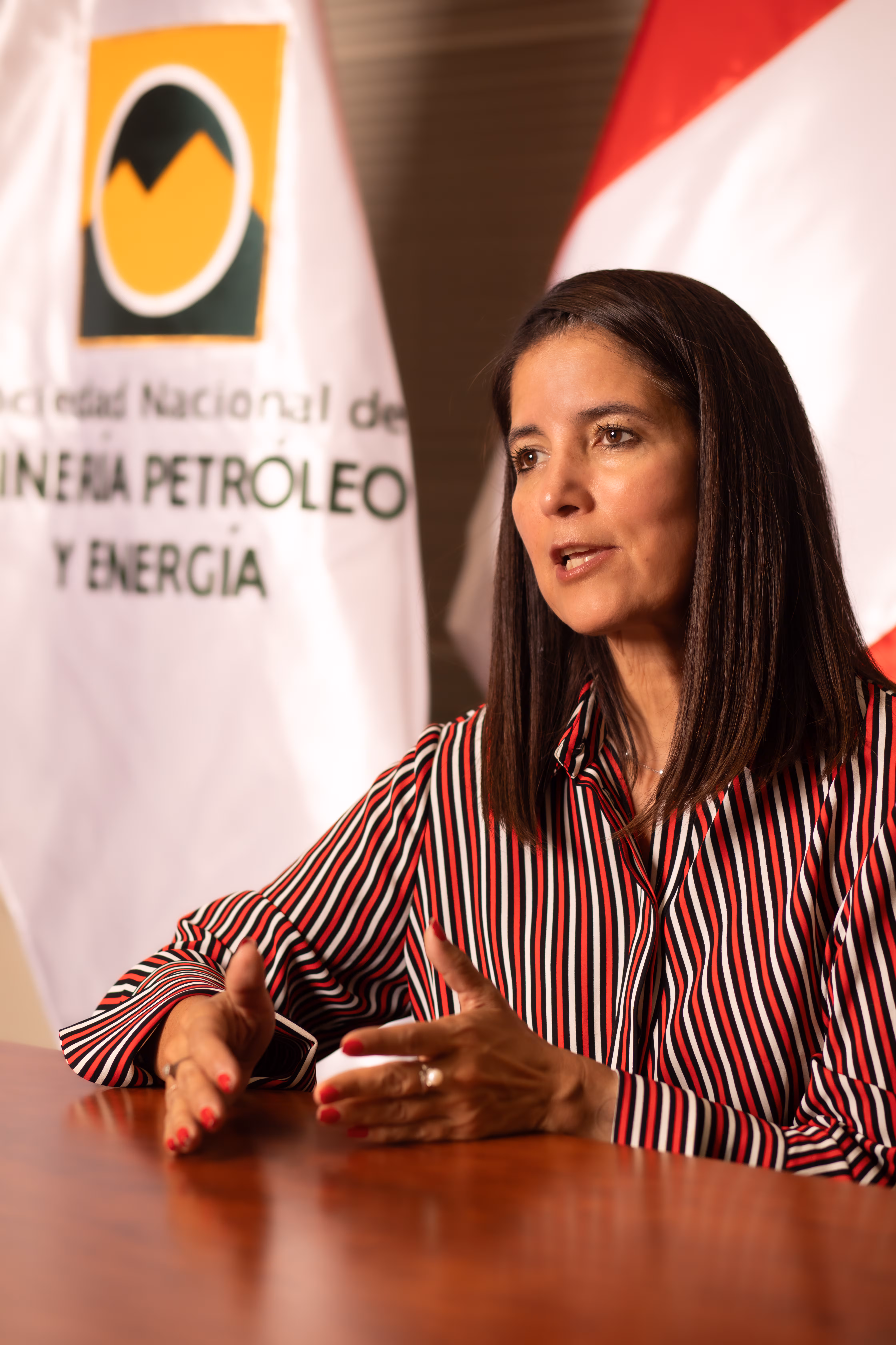 SNMPE saluda decisión de combatir minería ilegal y pide cerrar Reinfo