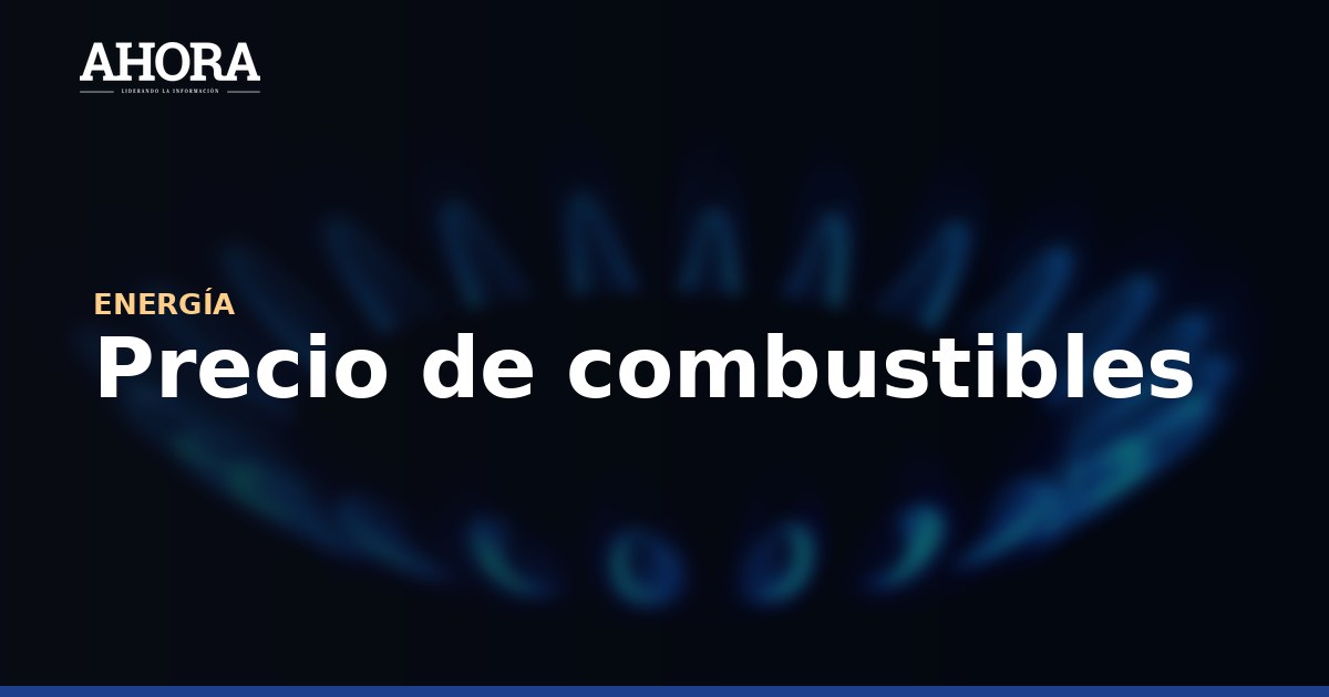 Presidenta anuncia emergencia por desabastecimiento de GLP en Arequipa