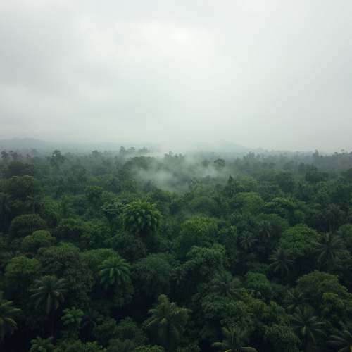 Octavo friaje del año traerá lluvias ligeras a moderadas en selva centro y sur