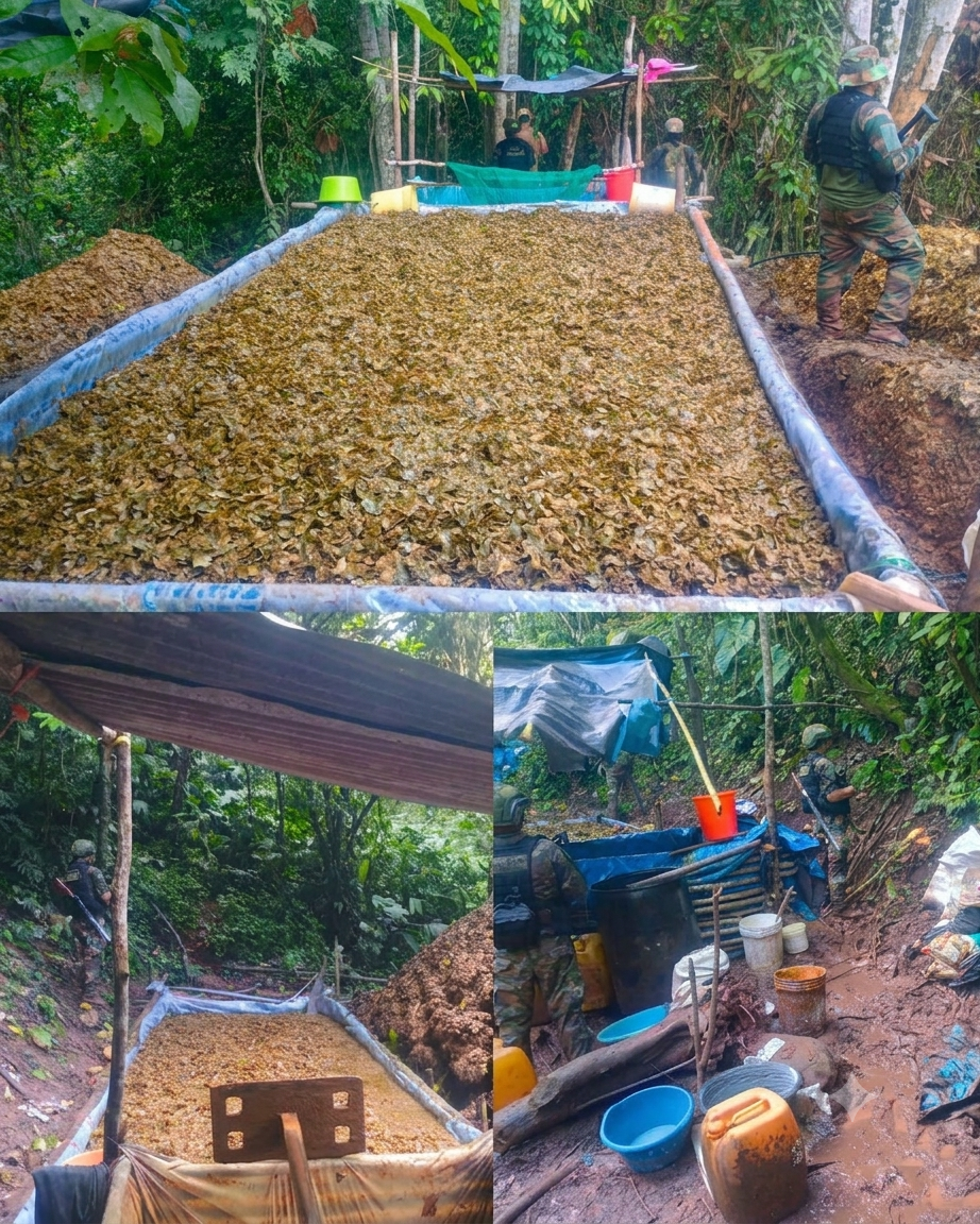 Policía destruye cuatro laboratorios de droga y golpea red de producción en Leoncio Prado