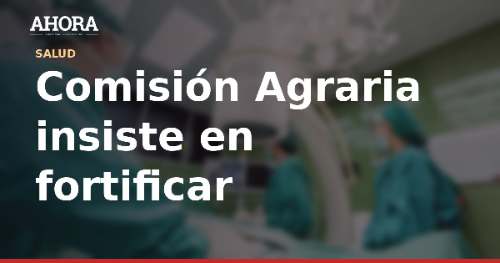 Comisión Agraria insiste en fortificar el arroz para combatir anemia y desnutrición