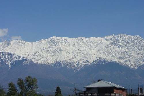 Comunidad Yamino de Padre Abad sistematiza saberes ancestrales Kakataibo