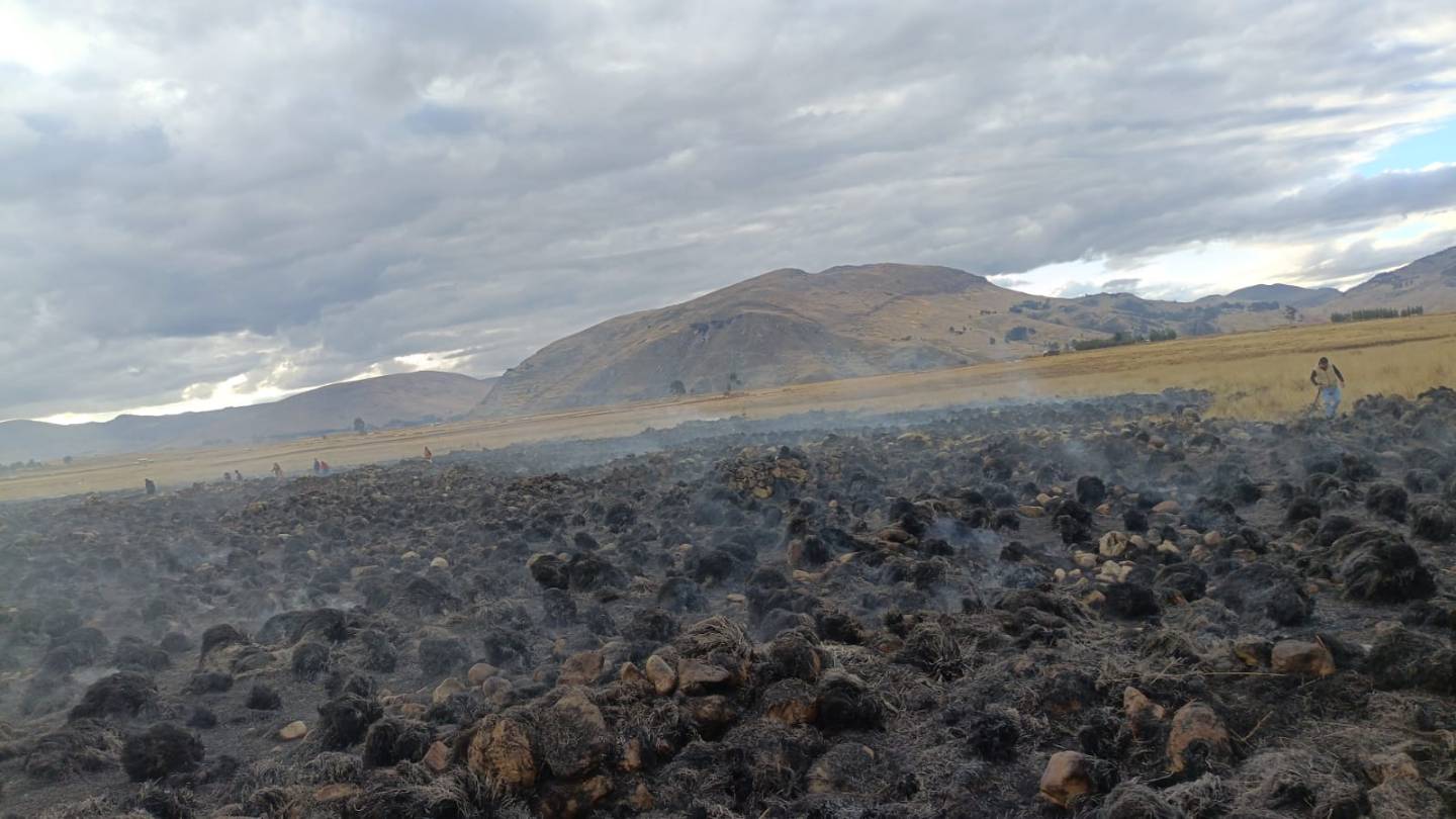 Incendio en Huánuco Pampa arrasa 25 hectáreas y pone en alerta patrimonio arqueológico