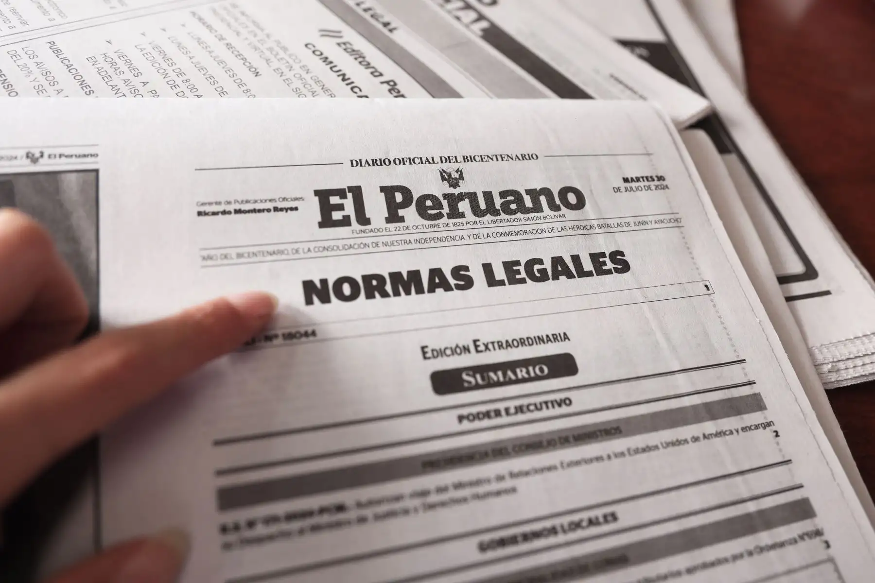 Alegría: JP debió priorizar criterio técnico en presidencias de comisiones de Justicia y Energía y Minas