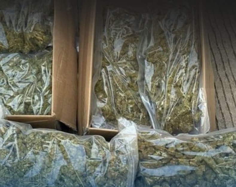 Condenan a ocho años de prisión a conductor que llevaba marihuana bajo su asiento