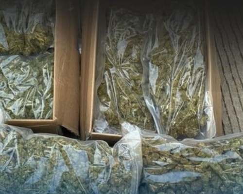Condenan a ocho años de prisión a conductor que llevaba marihuana bajo su asiento