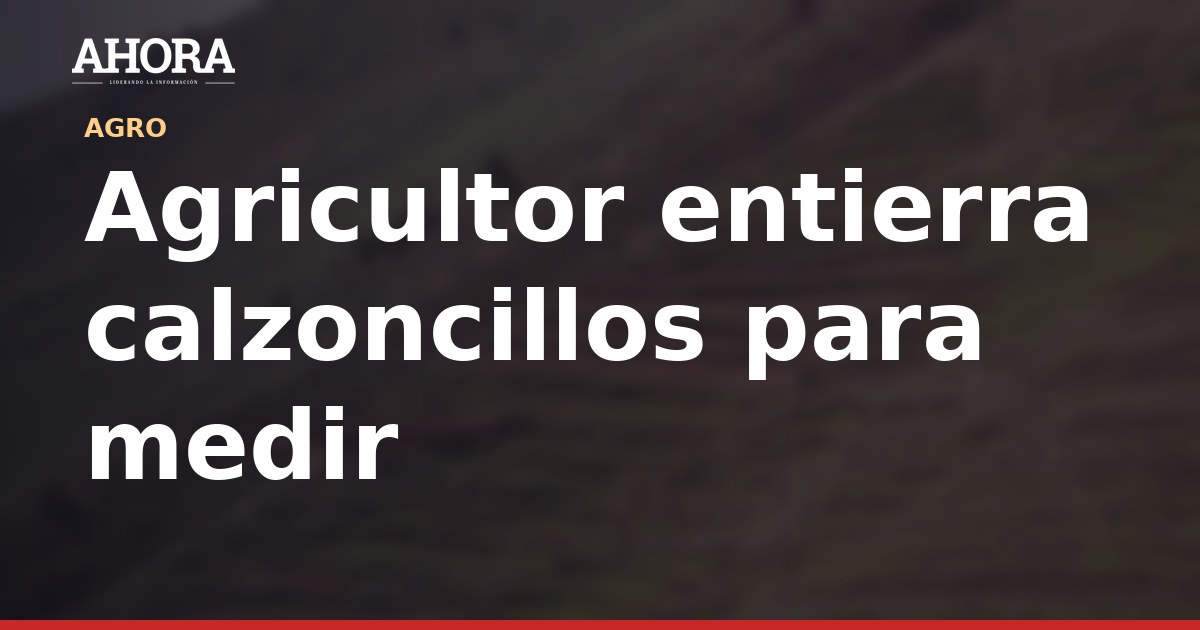Agricultor entierra calzoncillos para medir fertilidad del suelo y la ciencia respalda el método