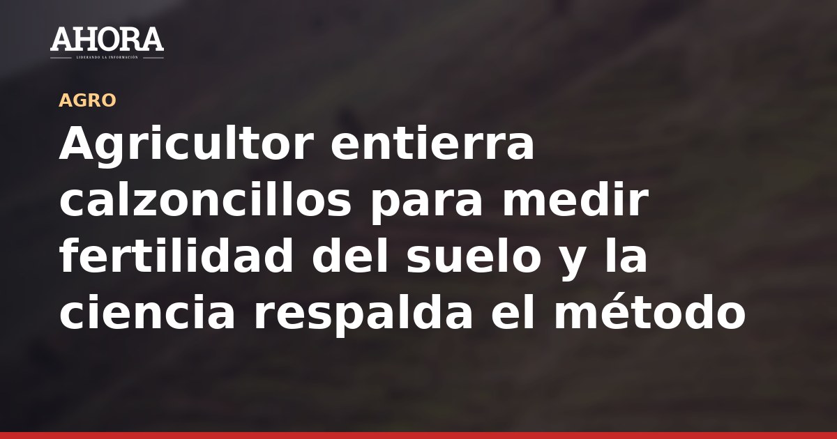 Agricultor entierra calzoncillos para medir fertilidad del suelo y la ciencia respalda el método