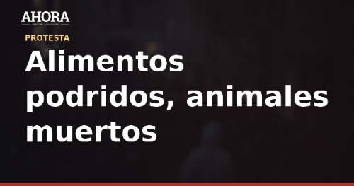 Bloqueo en Panamericana Sur: reparten alimentos, caminan horas y una paciente oncológica cruzó a pie