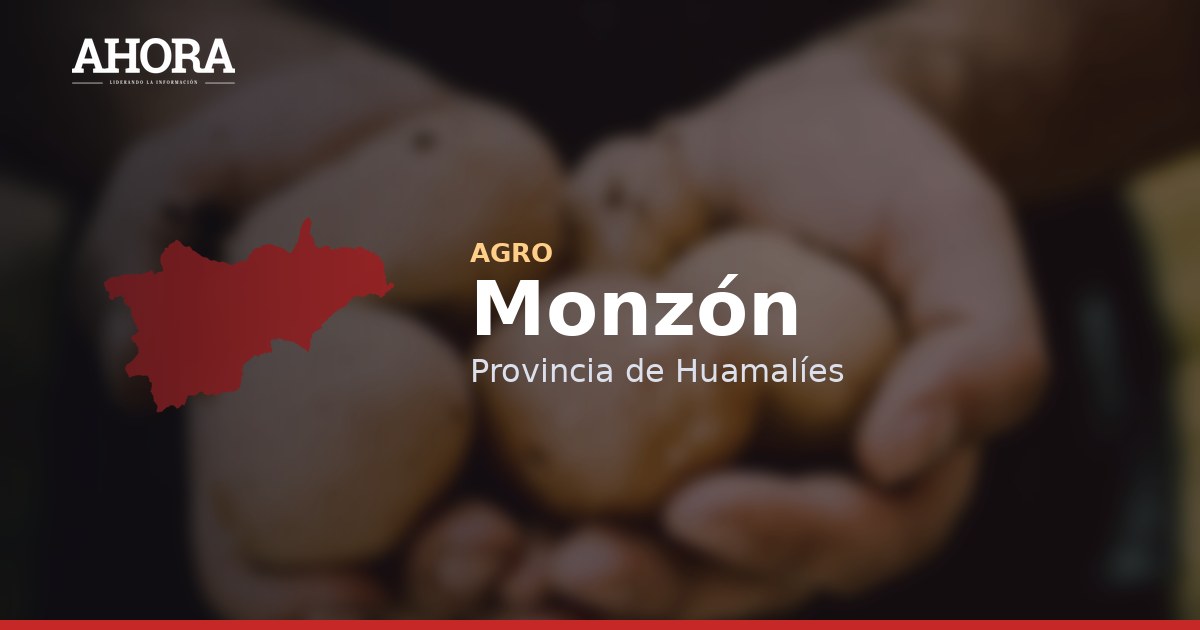 Productores de Monzón venden 100 toneladas de cacao a empresa francesa KAOKA
