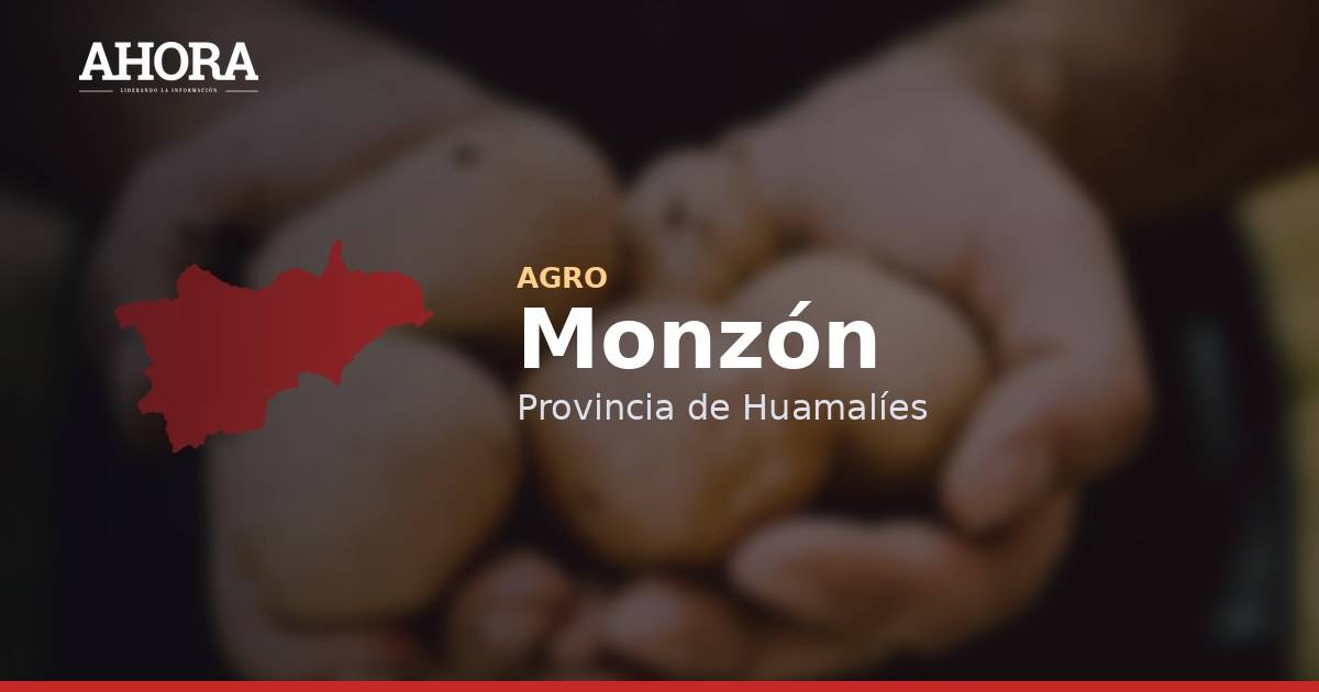 Productores de Monzón venden 100 toneladas de cacao a empresa francesa KAOKA