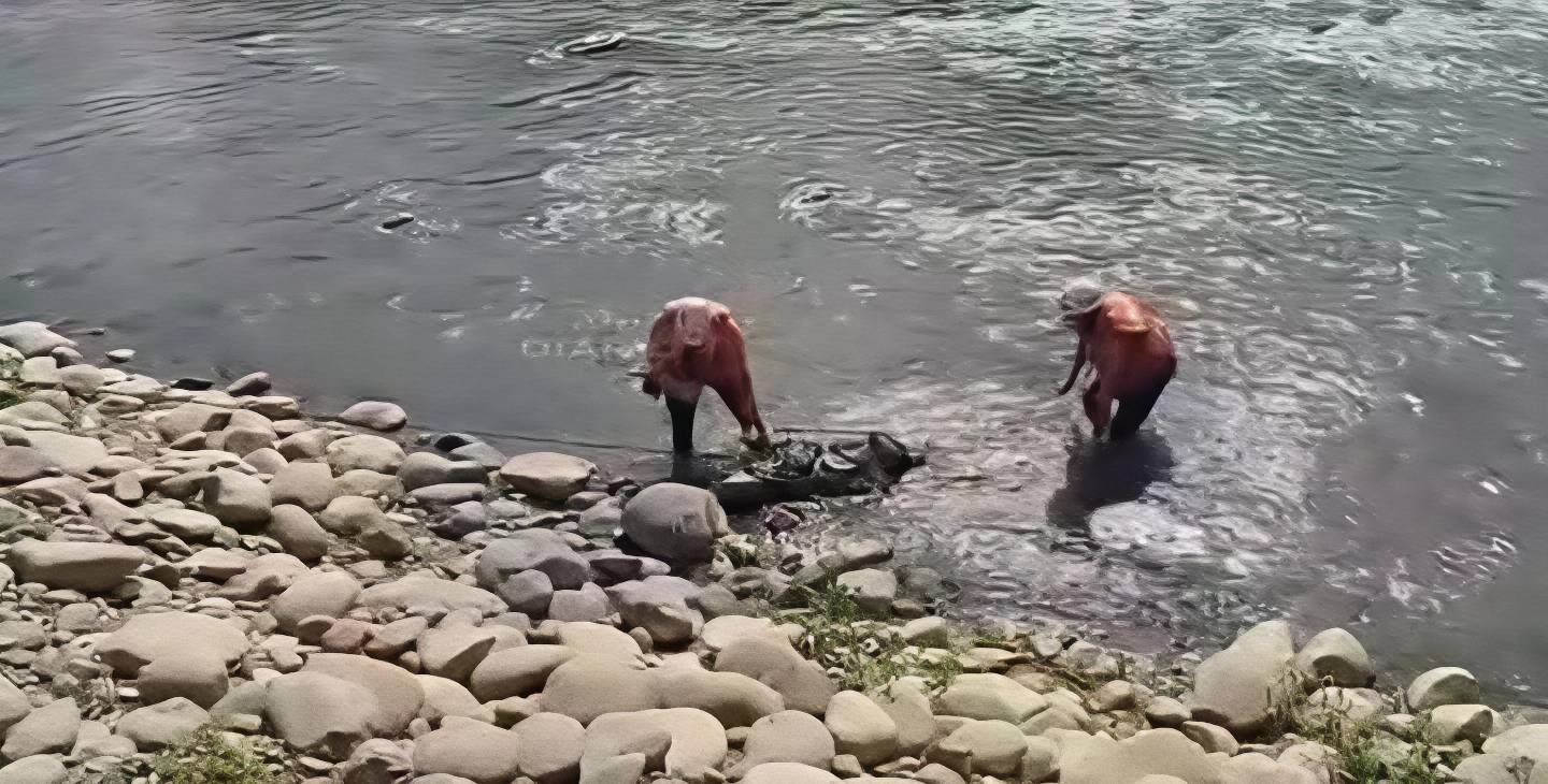 Recuperan cuerpo de un varón hallado en las aguas del río Huallaga