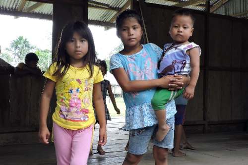 Anemia afecta al 34,9% de niños de 6 a 35 meses en Perú, según ENDES 2025