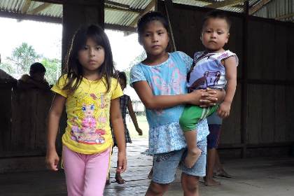 Anemia afecta al 34,9% de niños de 6 a 35 meses en Perú, según ENDES 2025