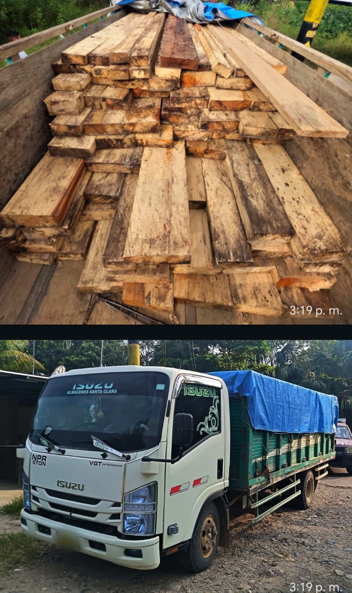 Detienen a conductor que trasladaba 4,500 pies tablares de madera sin documentos