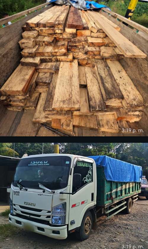 Detienen a conductor que trasladaba 4,500 pies tablares de madera sin documentos