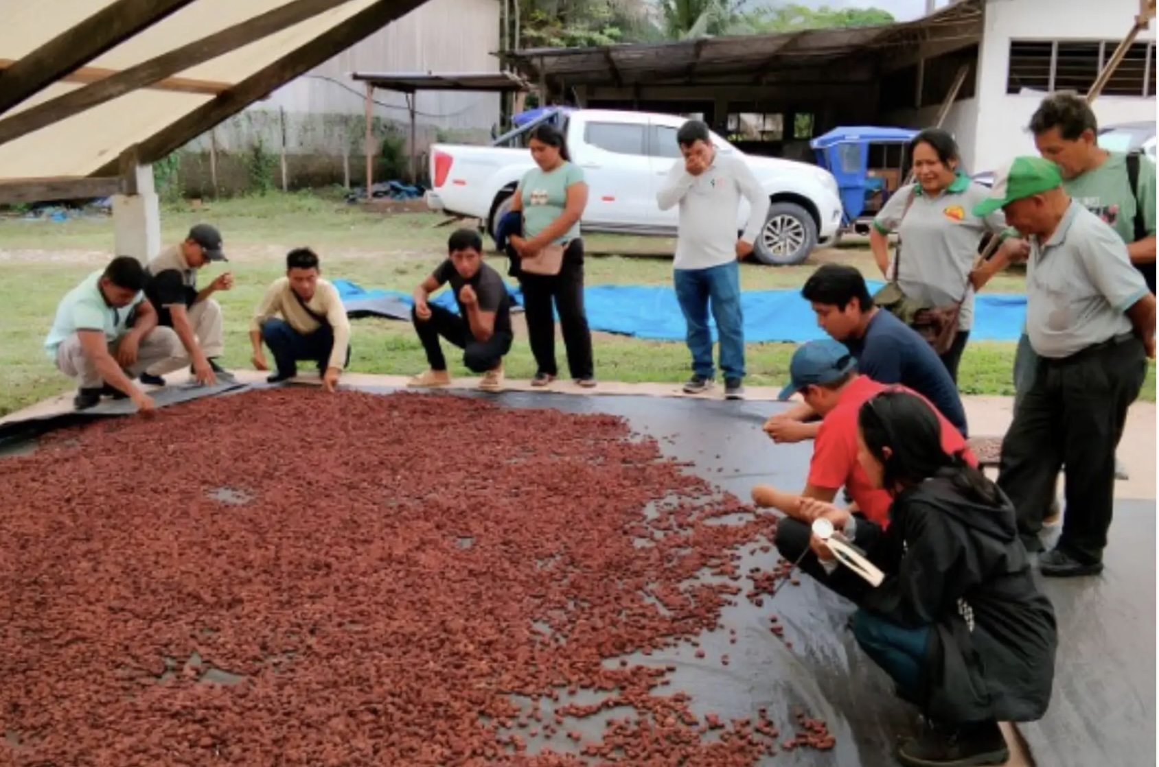 Plan de S/541 mil equipa a 50 productores de cacao en Puerto Inca