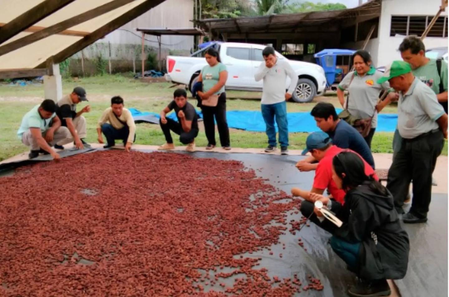 Plan de S/541 mil equipa a 50 productores de cacao en Puerto Inca
