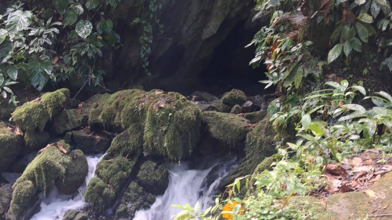 Espeleólogos de Perú y Francia exploran cuatro cuevas de Leoncio Prado