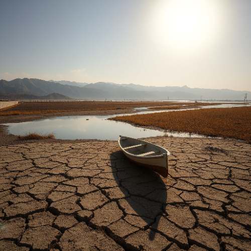 El Niño golpea la cadena alimentaria: arroz, azúcar y piensos suben por el clima
