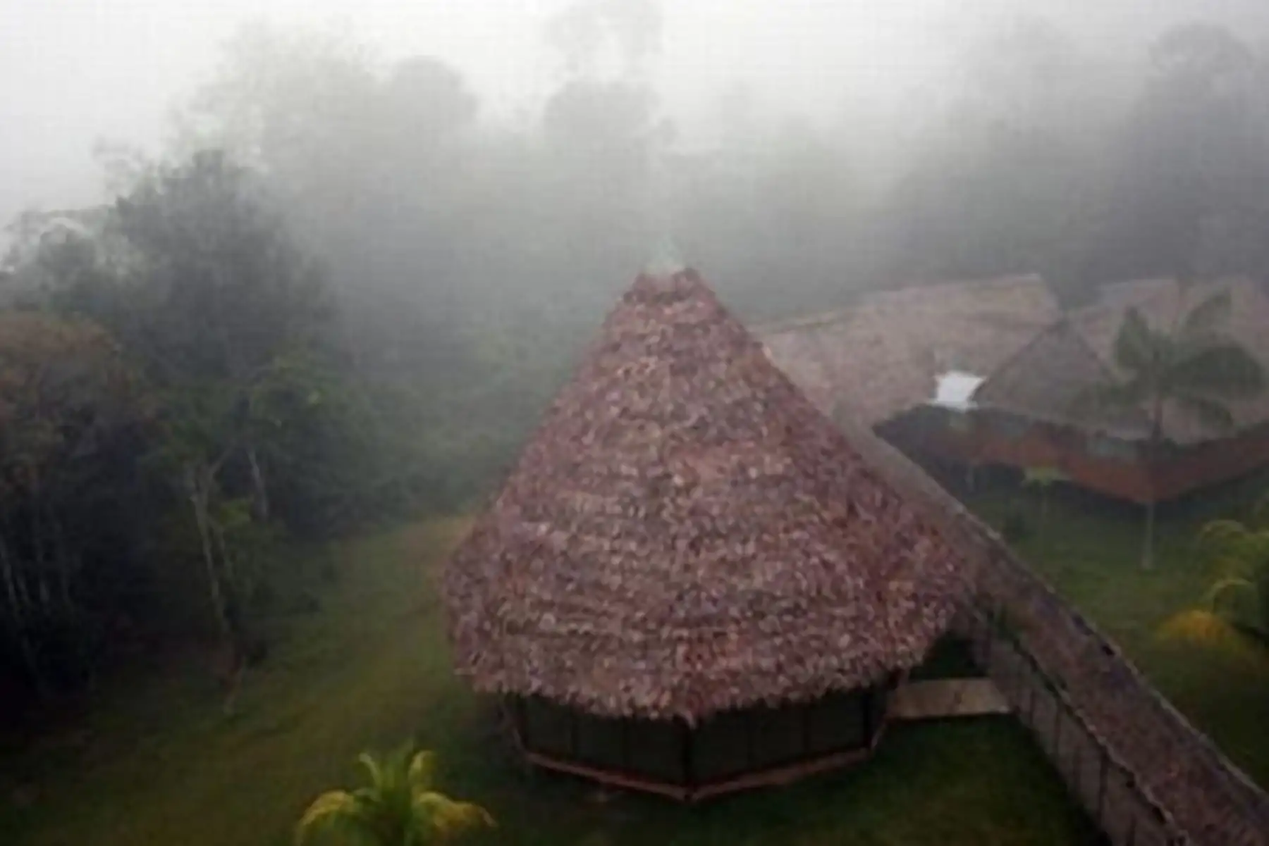 Senamhi: friaje de moderada intensidad bajará la temperatura en la selva de nueve regiones