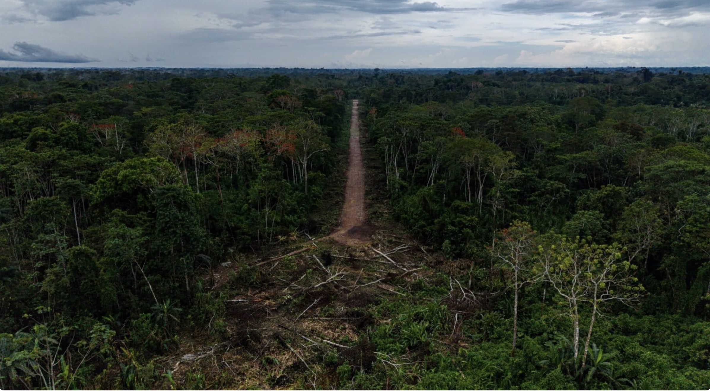 Santa Martha pierde 106 hectáreas mientras narcotráfico avanza sobre territorio kakataibo