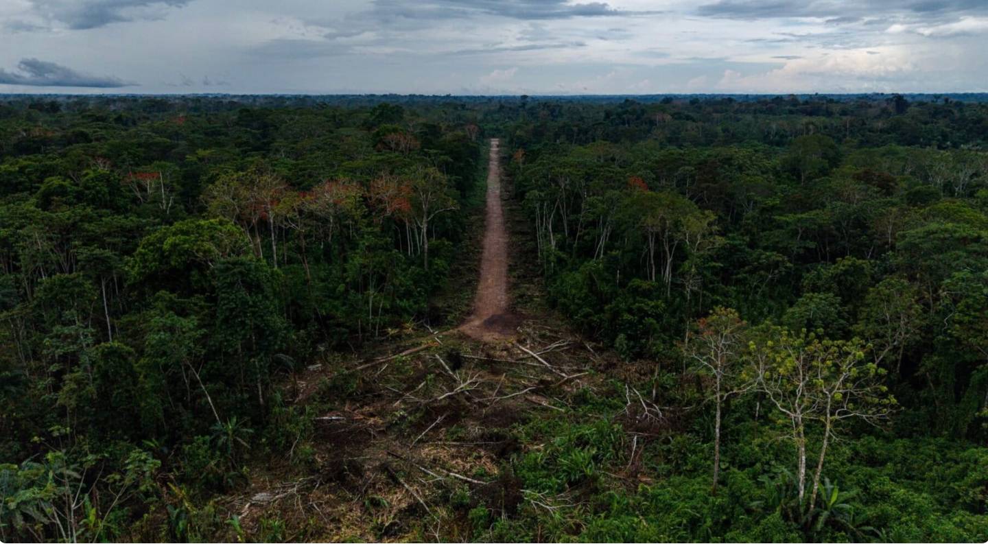 Santa Martha pierde 106 hectáreas mientras narcotráfico avanza sobre territorio kakataibo