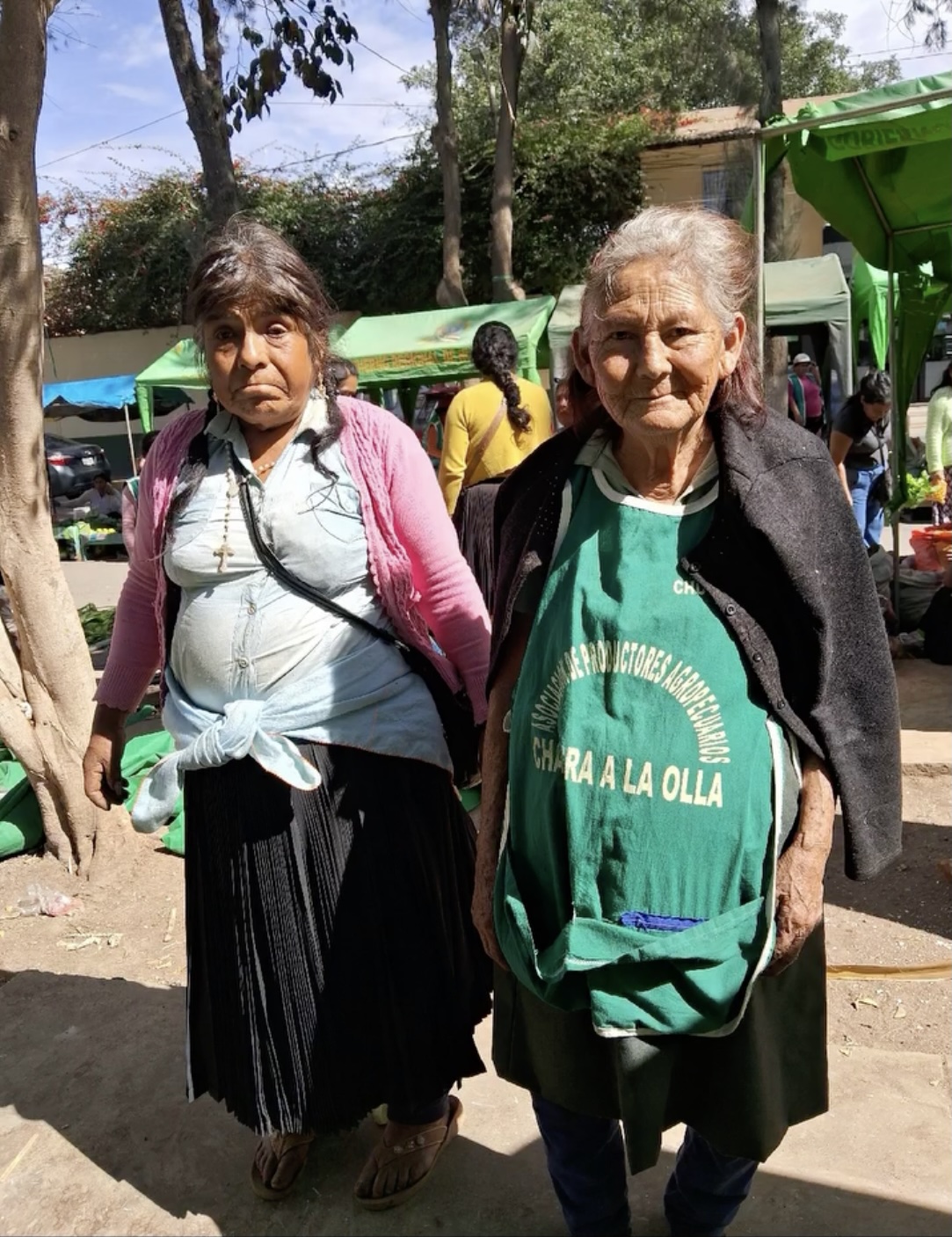 Feriantes llevan la Alameda a juicio y exigen consulta previa como comunidades quechuas