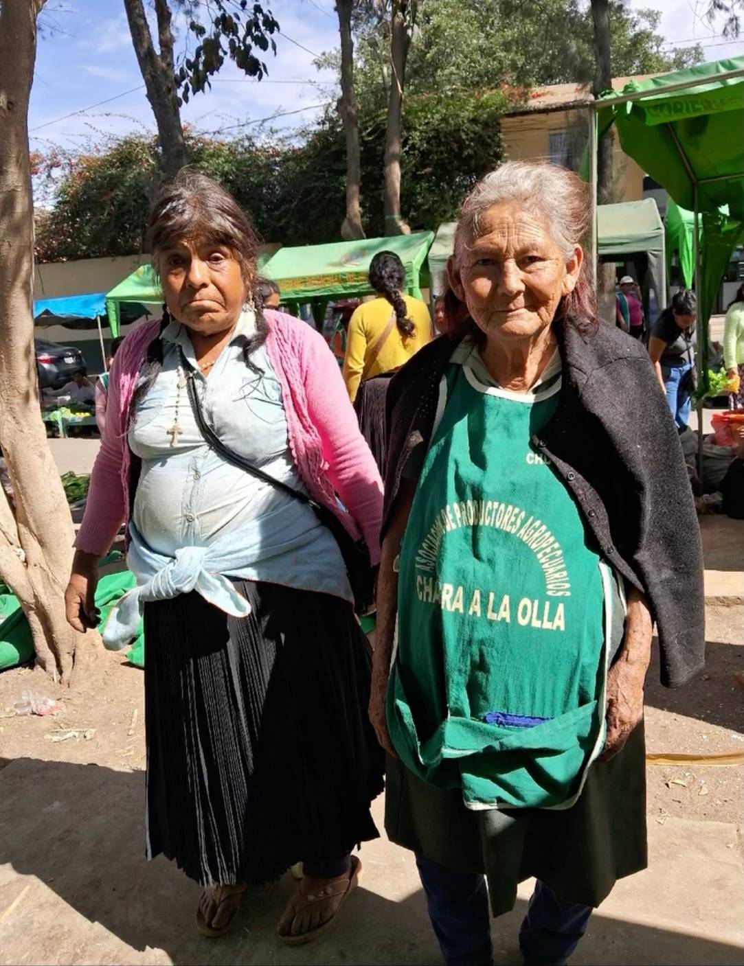 Feriantes llevan la Alameda a juicio y exigen consulta previa como comunidades quechuas
