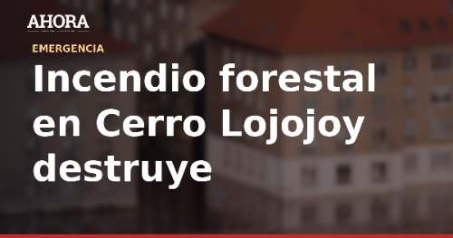 Incendio forestal en Cerro Lojojoy destruye 500 hectáreas y ocho viviendas en La Unión