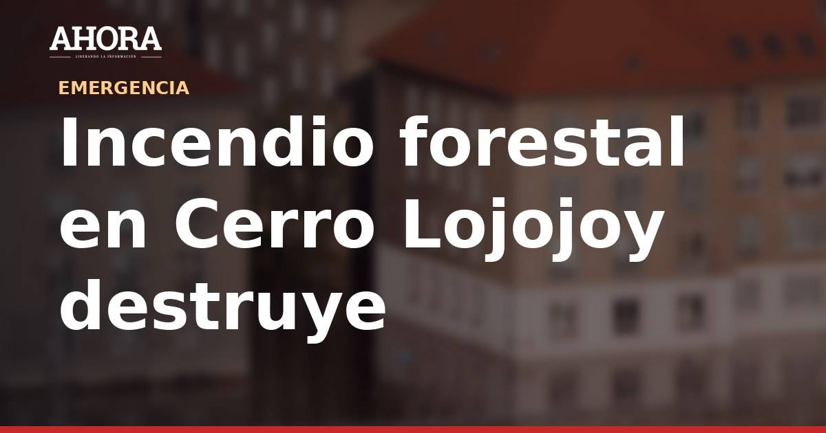 Incendio forestal en Cerro Lojojoy destruye 500 hectáreas y ocho viviendas en La Unión