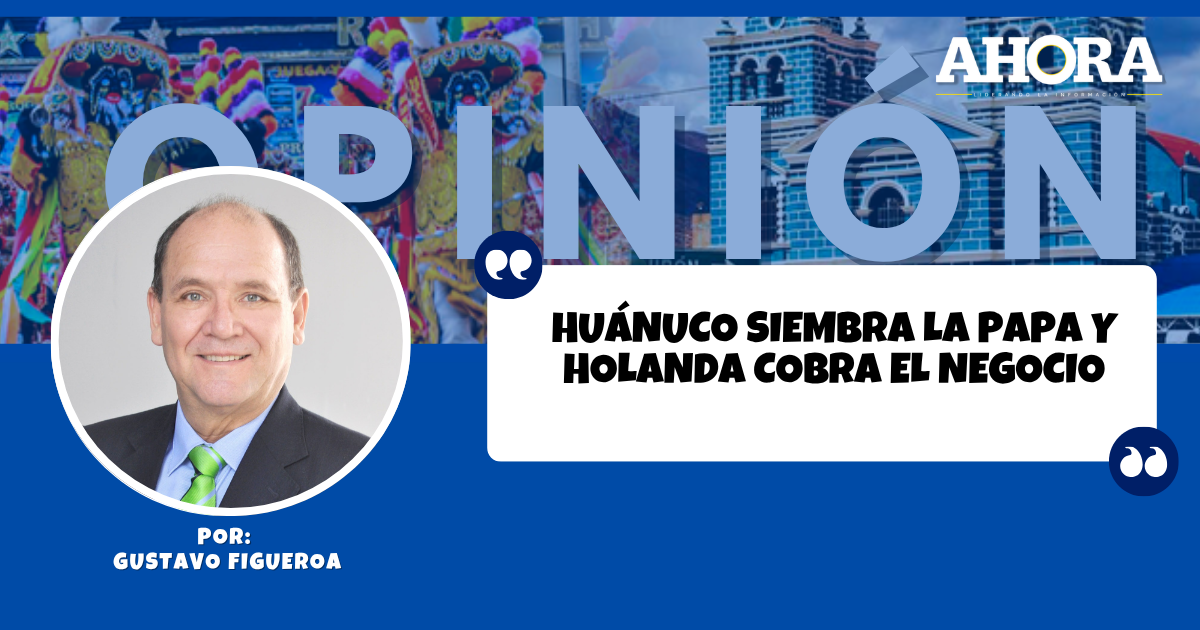 Huánuco siembra la papa y Holanda cobra el negocio