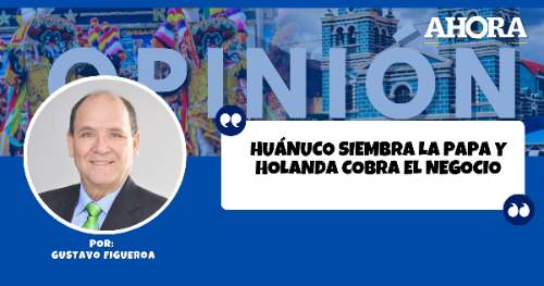 Huánuco siembra la papa y Holanda cobra el negocio