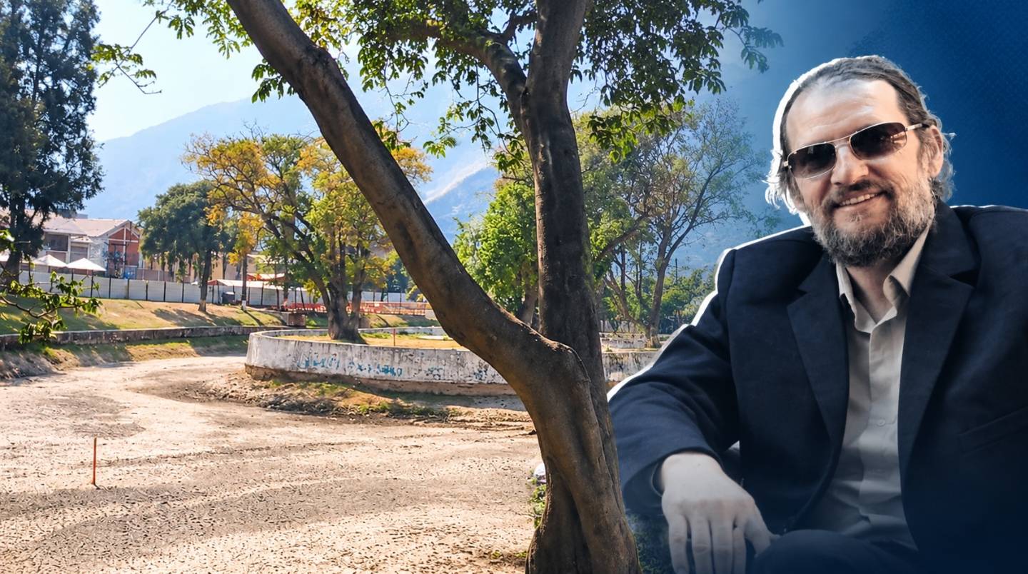 Viña del Río: Expediente recomienda talar 96 árboles y el colectivo ambiental advierte que no consta el permiso