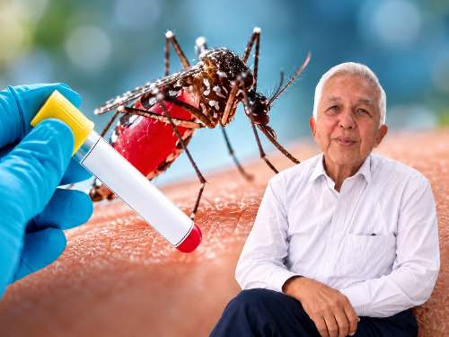 ¿Un antibiótico contra el dengue? Estudio peruano abre una nueva posibilidad