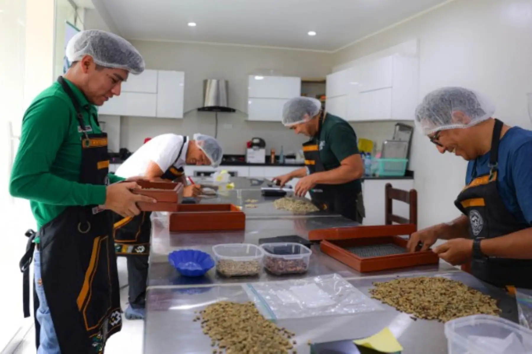 Devida evalúa 74 muestras de café de 9 regiones para subasta de especialidad