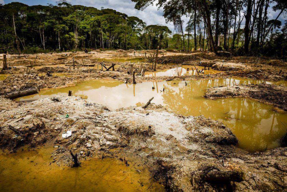 Puerto Inca inicia búsqueda de casos por posible exposición a plomo en comunidades del Pachitea