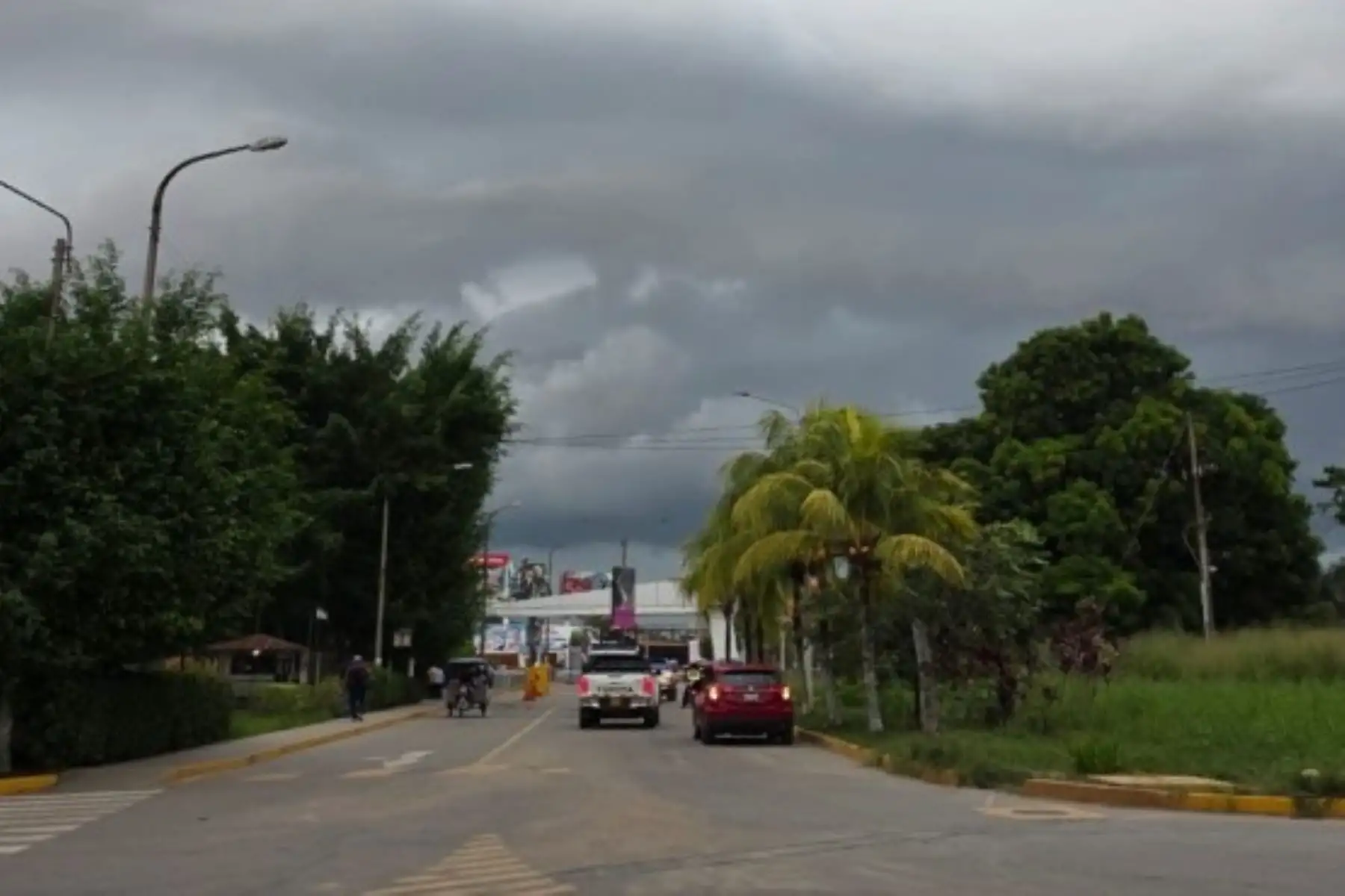 Senamhi: noveno friaje hará descender la temperatura a 17 °C en la selva sur