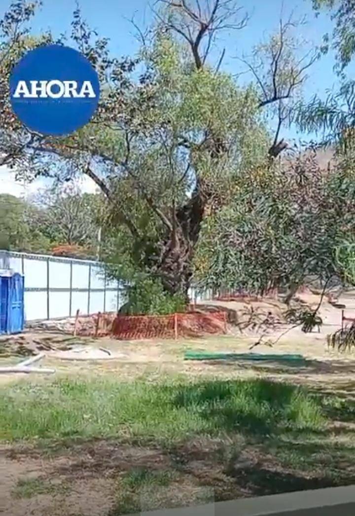 Obra de Viña del Río muestra cercos y estructuras sin precisar avance ni cronograma