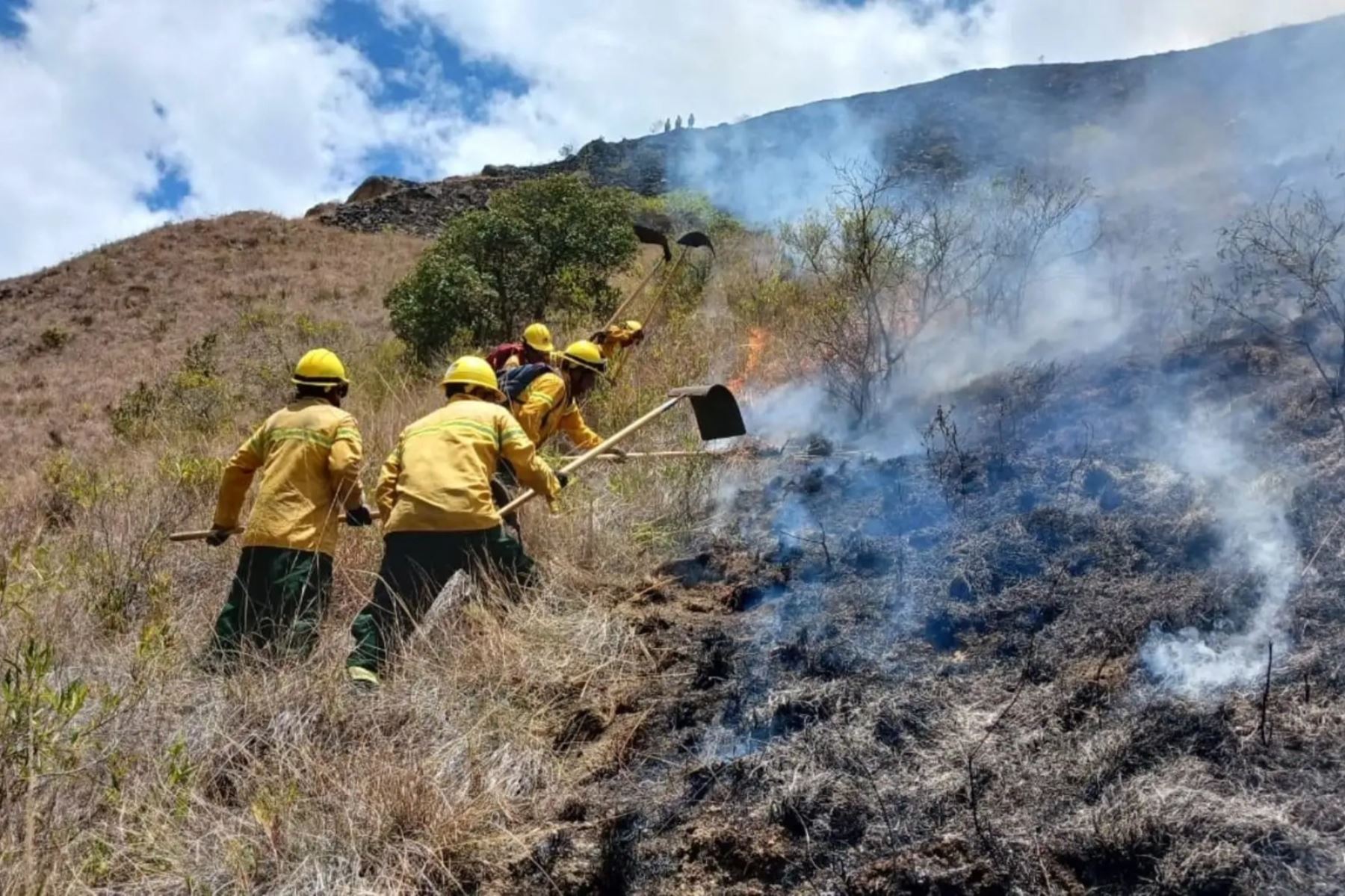 Extinguen cuatro incendios forestales en tres regiones y Huarochirí