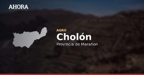 Productor de Cholón representará a su distrito en Concafés 2026