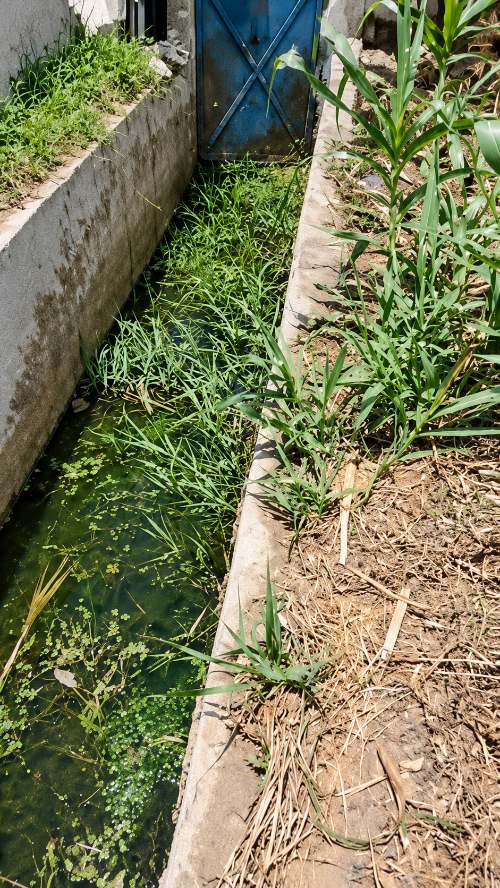 Recorrido ciudadano muestra tramos colapsados en el canal de Seda Huánuco y anuncian denuncia penal