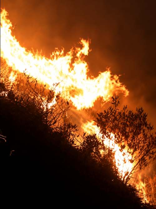 Más de 30 incendios forestales en Huánuco entre agosto y octubre, según Gorehco