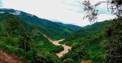 Midagri aprueba la zonificación que define el uso de los bosques de Puerto Inca