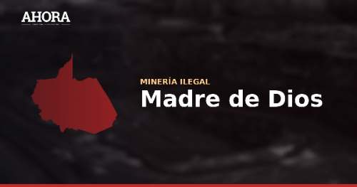 Madre de Dios: colección científica reúne casi 300 especies de peces amazónicos