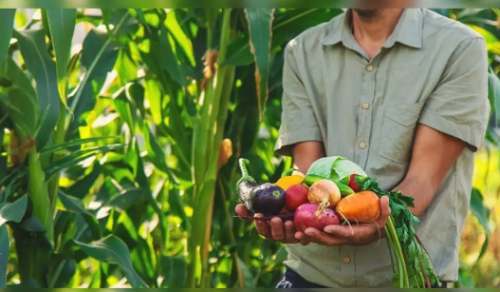 Perú obtiene seis premios turísticos y exporta US$3.929 millones en frutas y hortalizas