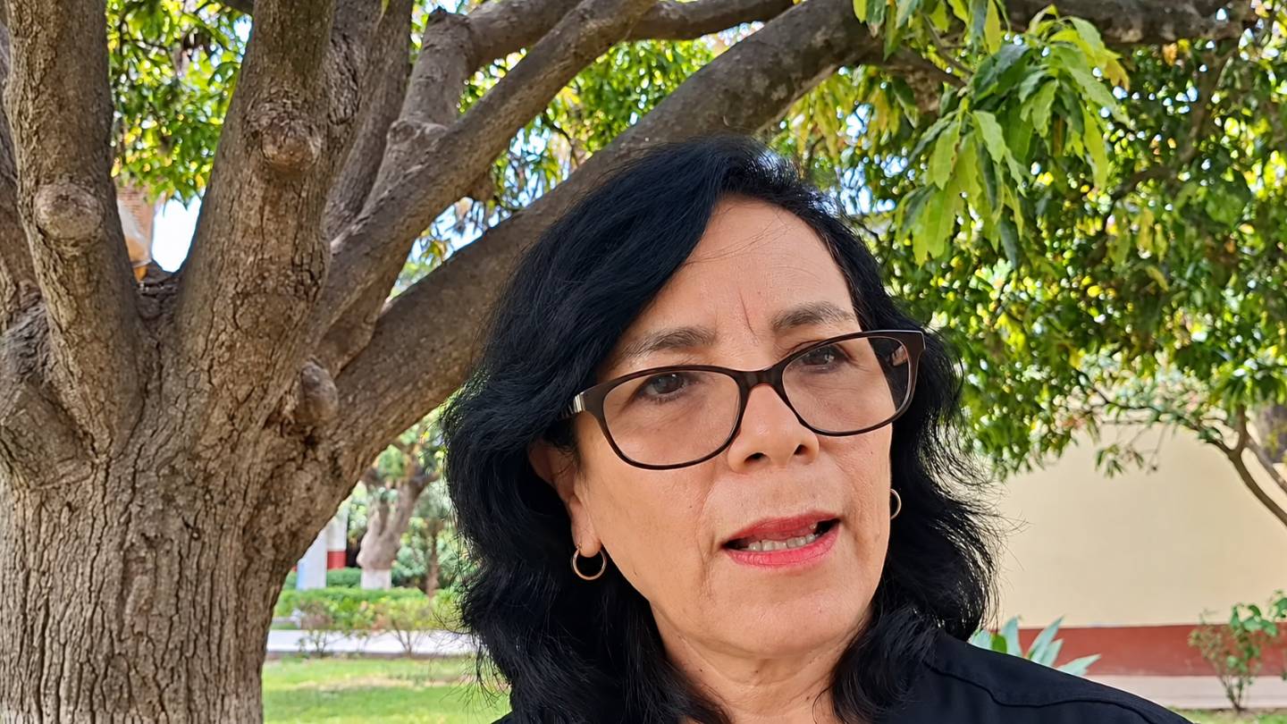 Diresa confirma serotipo 3 del dengue en Huánuco y pide eliminar criaderos