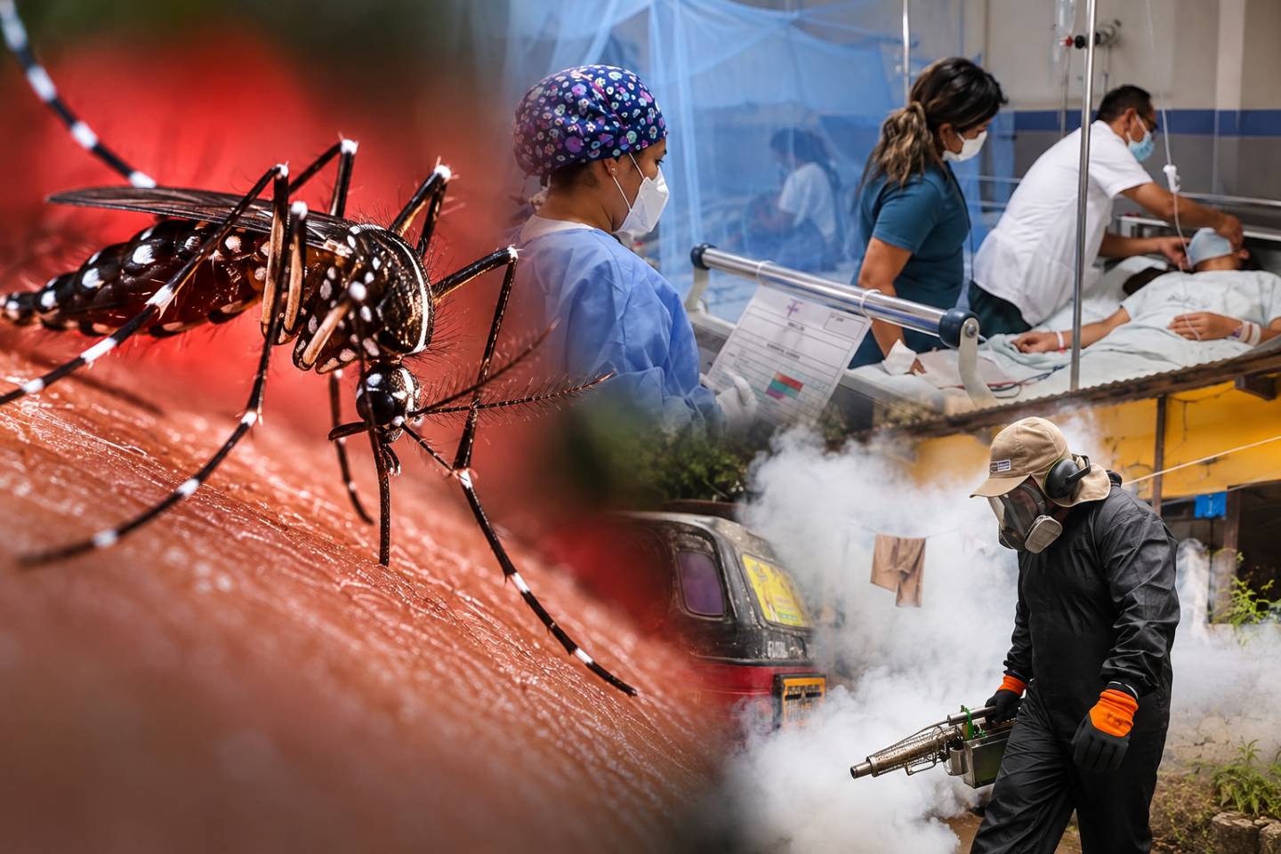 Dengue supera los mil casos en Huánuco y circula un serotipo que agrava los cuadros