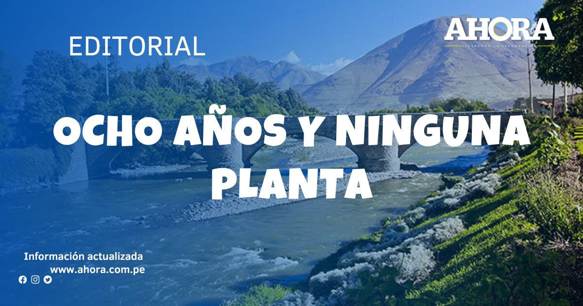 Ocho años y ninguna planta