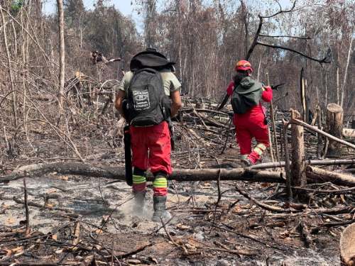 Incendio forestal arrasa más de 250 hectáreas en comunidad asháninka de Cutivireni, Junín